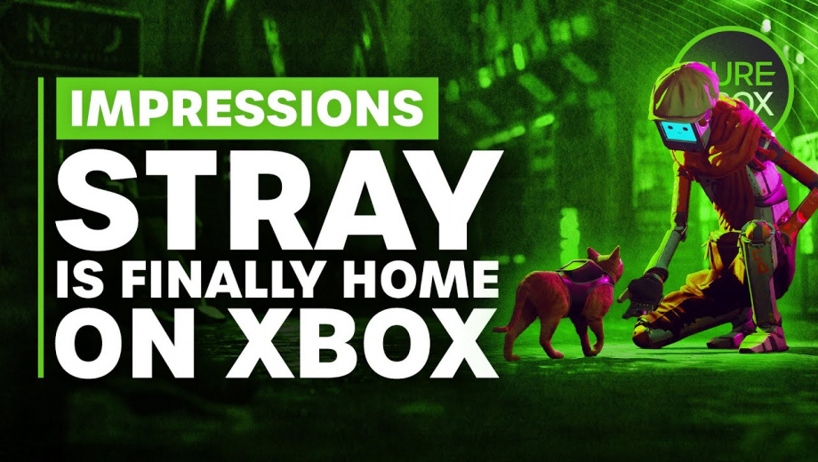 Stray is Finally Home on Xbox - Hands On